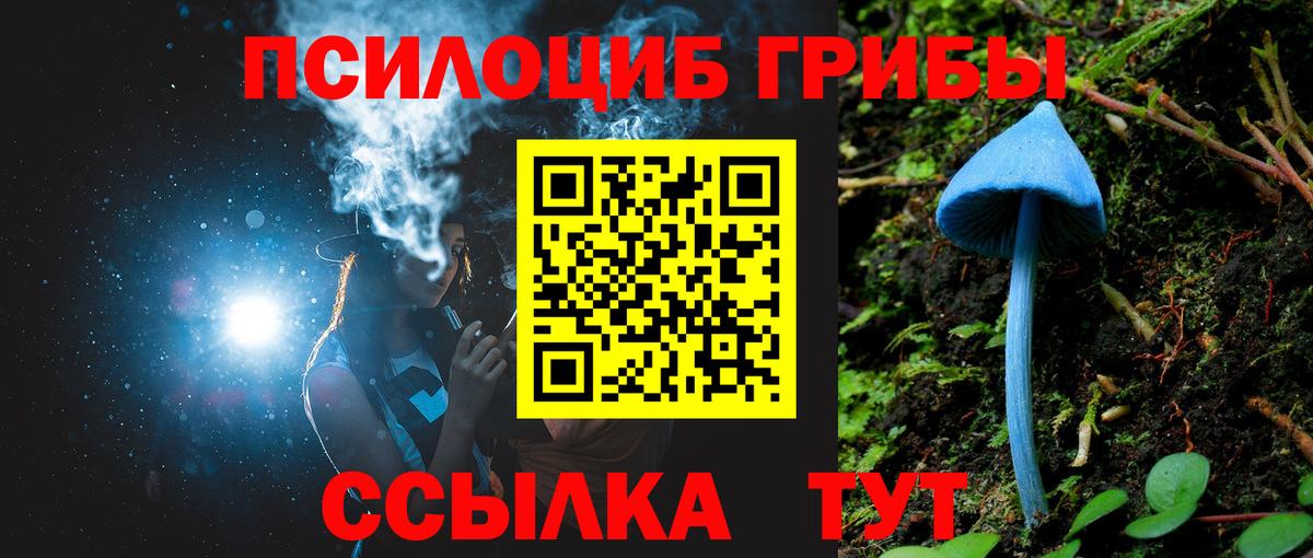 Галлюциногенные грибы Cubensis  Вход с VPN  Белорецк 